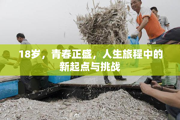 18岁，青春正盛，人生旅程中的新起点与挑战