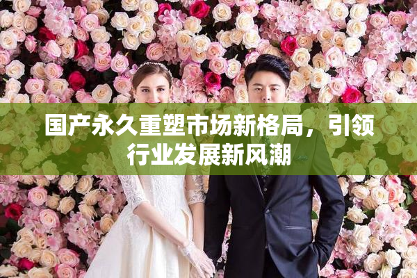 国产永久重塑市场新格局，引领行业发展新风潮