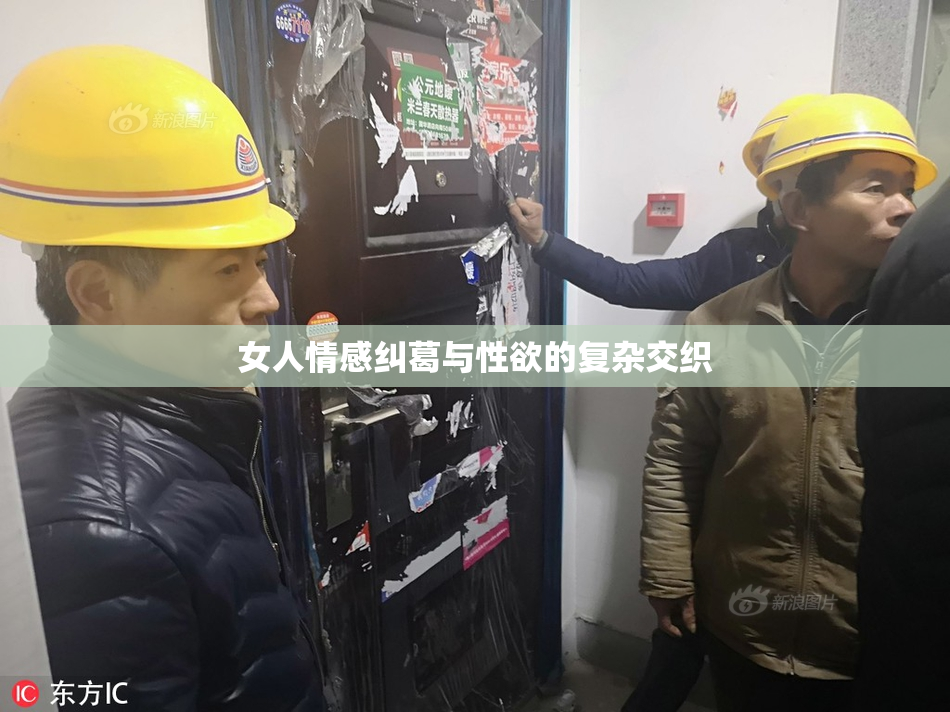 女人情感纠葛与性欲的复杂交织