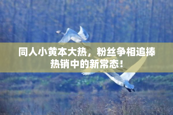 同人小黄本大热，粉丝争相追捧热销中的新常态！