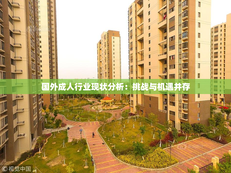 国外成人行业现状分析：挑战与机遇并存