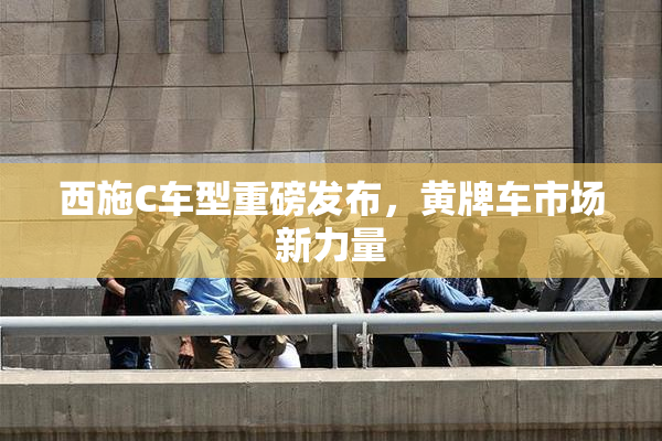 西施C车型重磅发布，黄牌车市场新力量