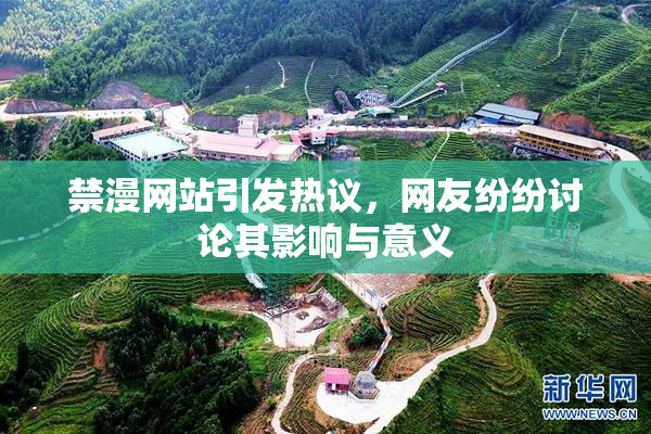 禁漫网站引发热议，网友纷纷讨论其影响与意义