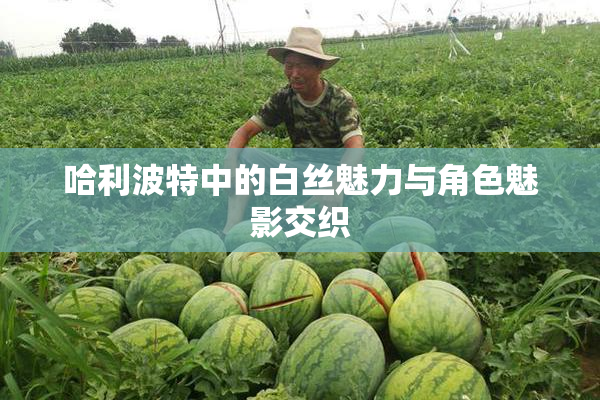 哈利波特中的白丝魅力与角色魅影交织