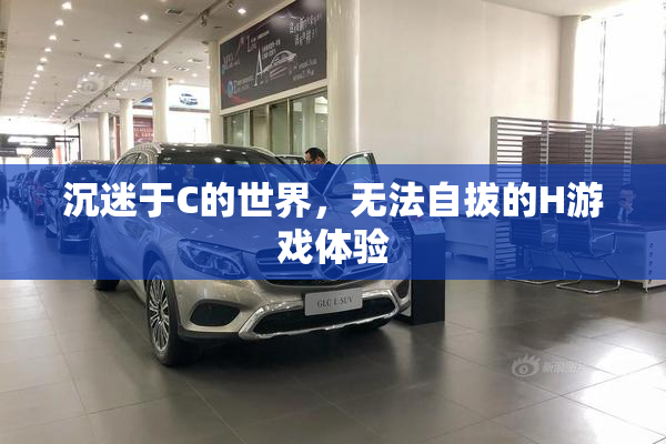 沉迷于C的世界，无法自拔的H游戏体验