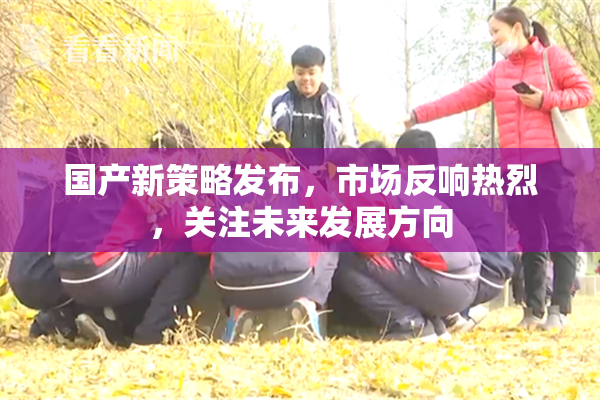 国产新策略发布，市场反响热烈，关注未来发展方向