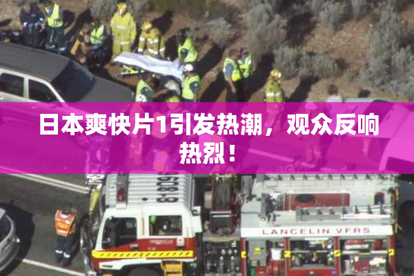 日本爽快片1引发热潮，观众反响热烈！