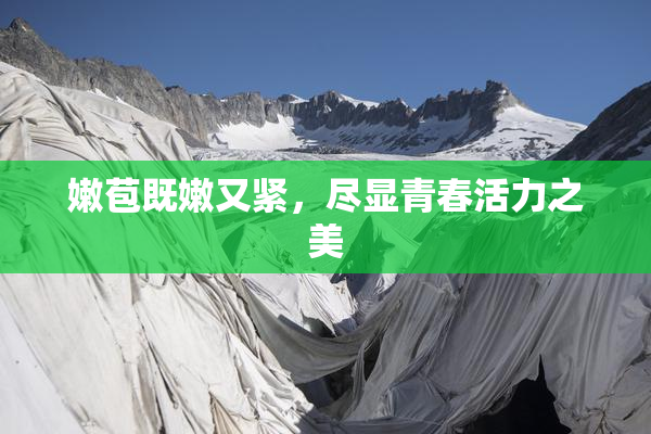 嫩苞既嫩又紧，尽显青春活力之美