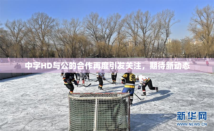 中字HD与公的合作再度引发关注，期待新动态