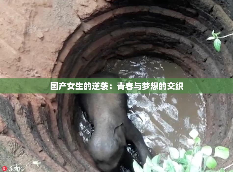 国产女生的逆袭：青春与梦想的交织
