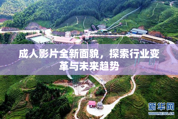 成人影片全新面貌，探索行业变革与未来趋势