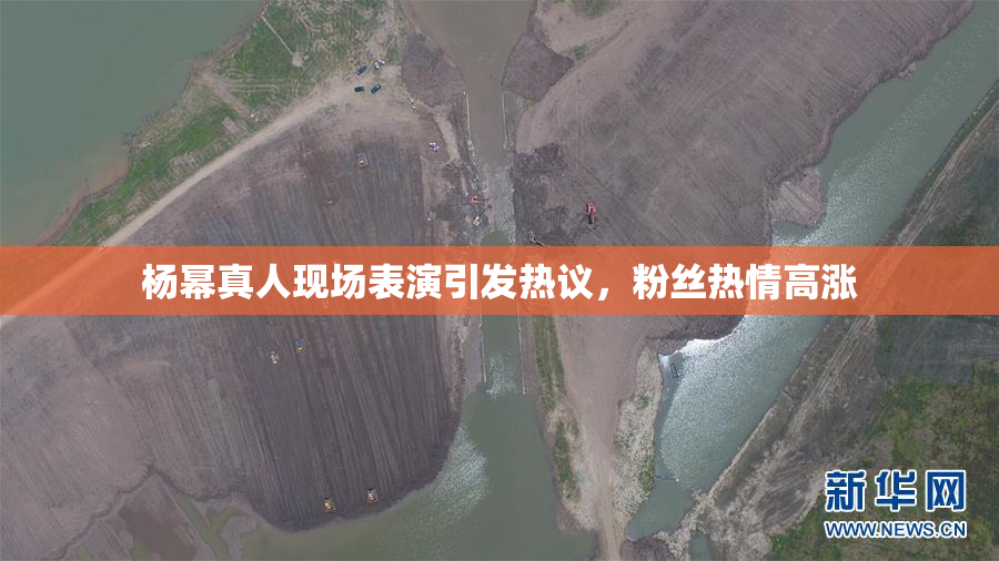 杨幂真人现场表演引发热议，粉丝热情高涨