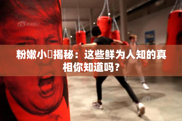 粉嫩小泬揭秘：这些鲜为人知的真相你知道吗？