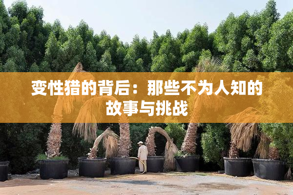 变性猎的背后：那些不为人知的故事与挑战