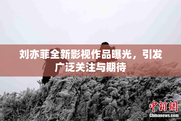 刘亦菲全新影视作品曝光，引发广泛关注与期待