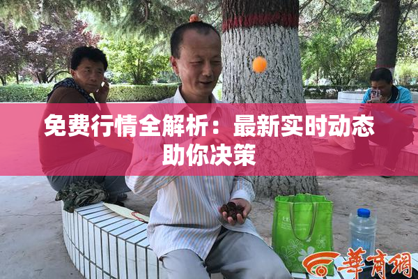 免费行情全解析：最新实时动态助你决策