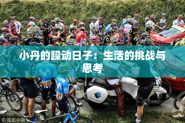 小丹的躁动日子：生活的挑战与思考