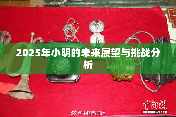 2025年小明的未来展望与挑战分析