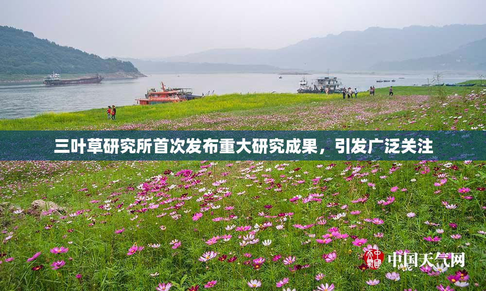 三叶草研究所首次发布重大研究成果，引发广泛关注