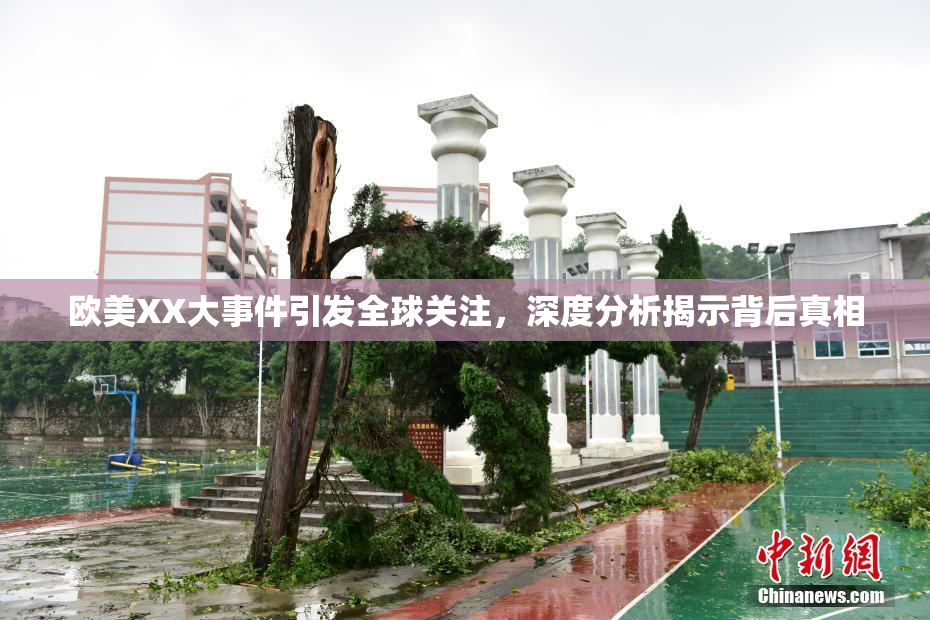 欧美XX大事件引发全球关注，深度分析揭示背后真相