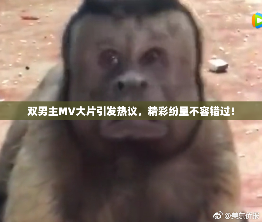 双男主MV大片引发热议，精彩纷呈不容错过！
