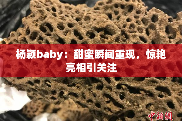 杨颖baby：甜蜜瞬间重现，惊艳亮相引关注