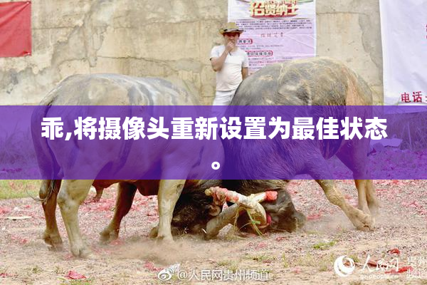 乖,将摄像头重新设置为最佳状态。