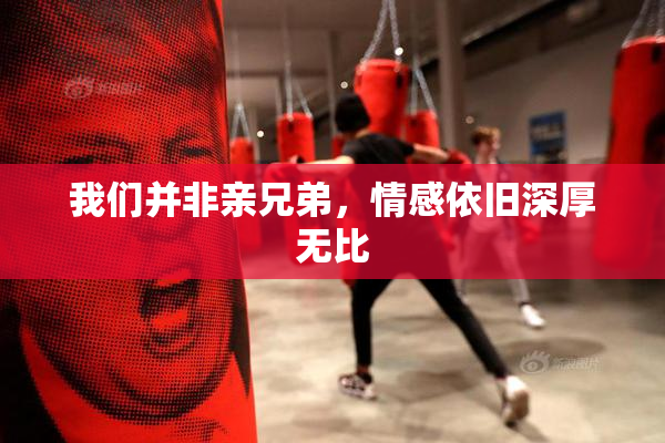 我们并非亲兄弟，情感依旧深厚无比