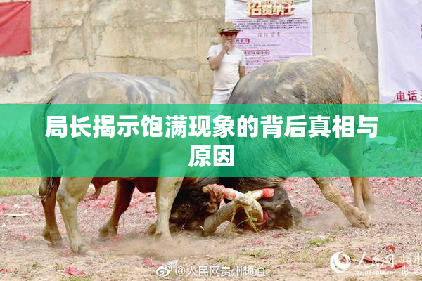 局长揭示饱满现象的背后真相与原因