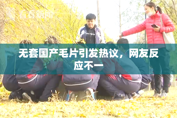 无套国产毛片引发热议，网友反应不一