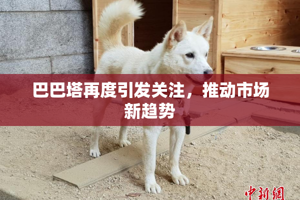巴巴塔再度引发关注，推动市场新趋势
