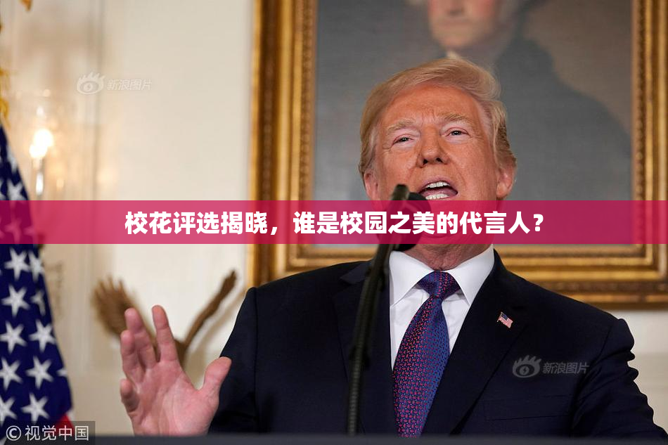 校花评选揭晓，谁是校园之美的代言人？