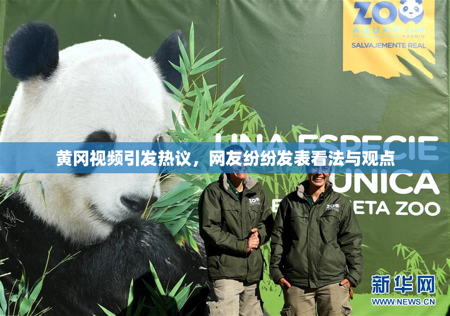 黄冈视频引发热议，网友纷纷发表看法与观点