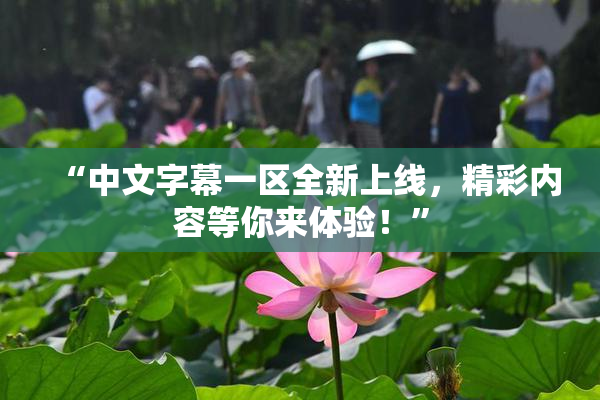 “中文字幕一区全新上线，精彩内容等你来体验！”