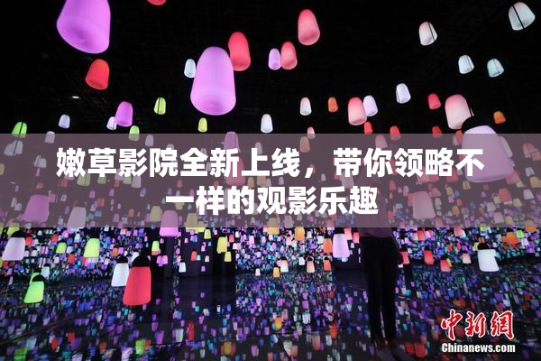 嫩草影院全新上线，带你领略不一样的观影乐趣