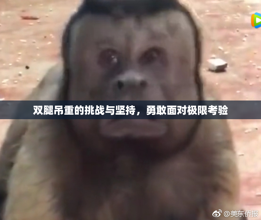 双腿吊重的挑战与坚持，勇敢面对极限考验