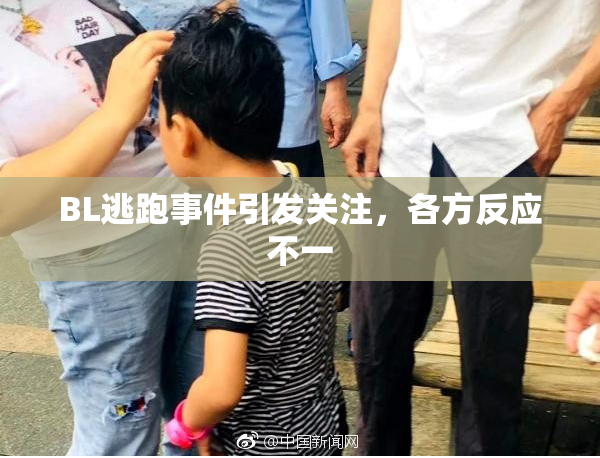 BL逃跑事件引发关注，各方反应不一