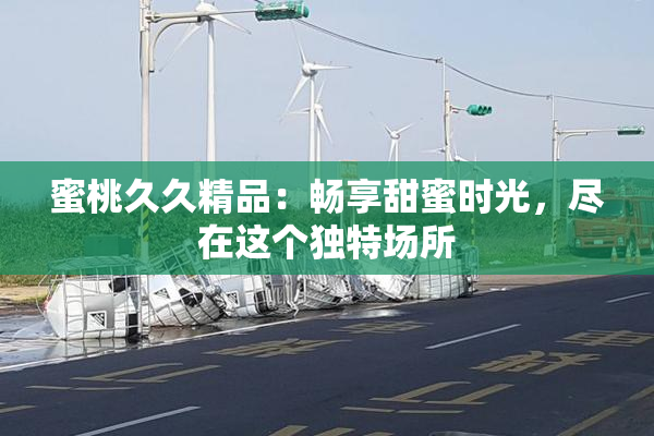 蜜桃久久精品：畅享甜蜜时光，尽在这个独特场所