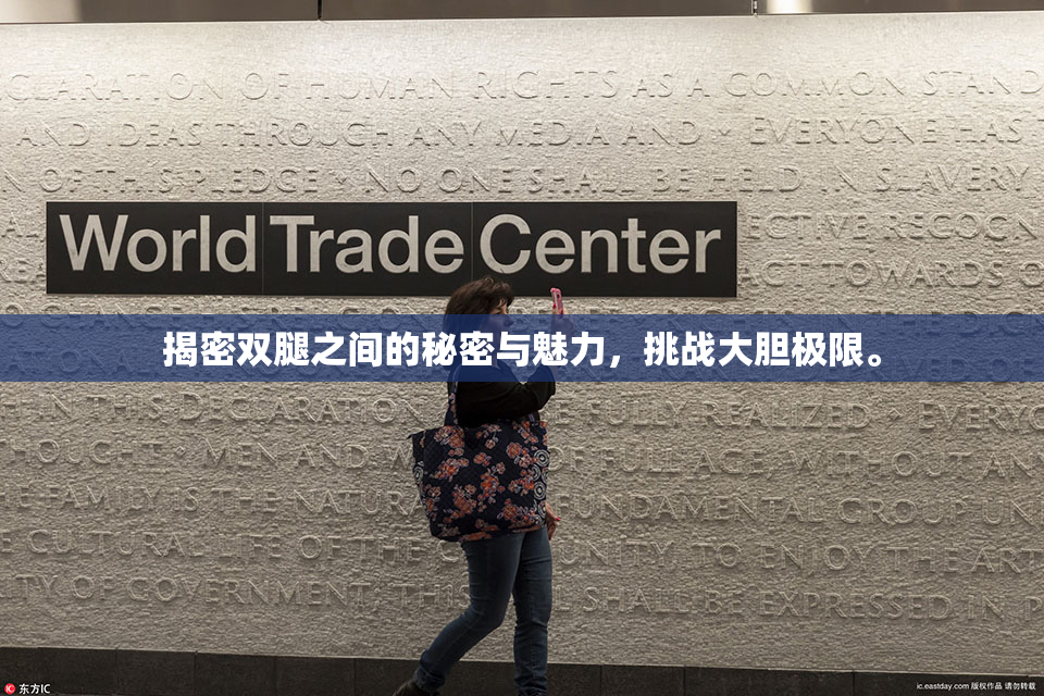 揭密双腿之间的秘密与魅力，挑战大胆极限。