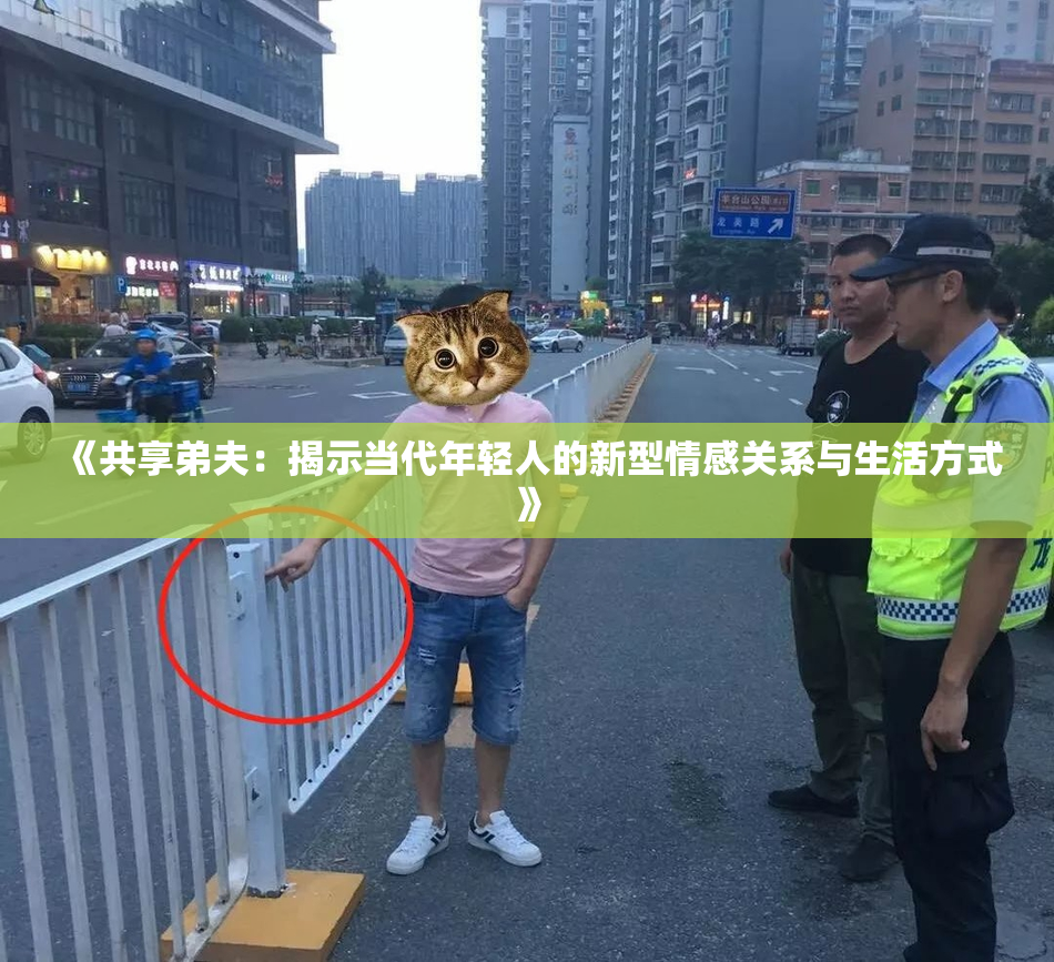 《共享弟夫：揭示当代年轻人的新型情感关系与生活方式》