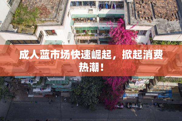 成人蓝市场快速崛起，掀起消费热潮！