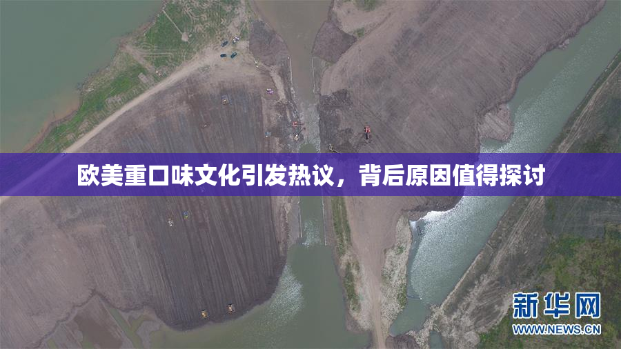 欧美重口味文化引发热议，背后原因值得探讨