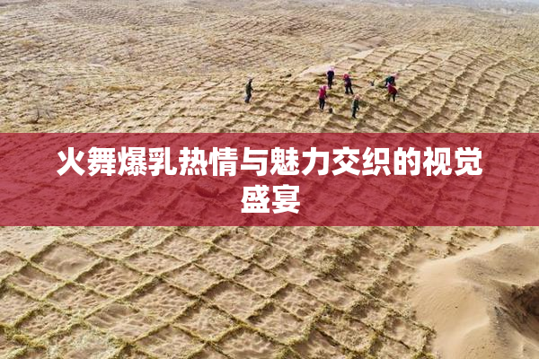 火舞爆乳热情与魅力交织的视觉盛宴