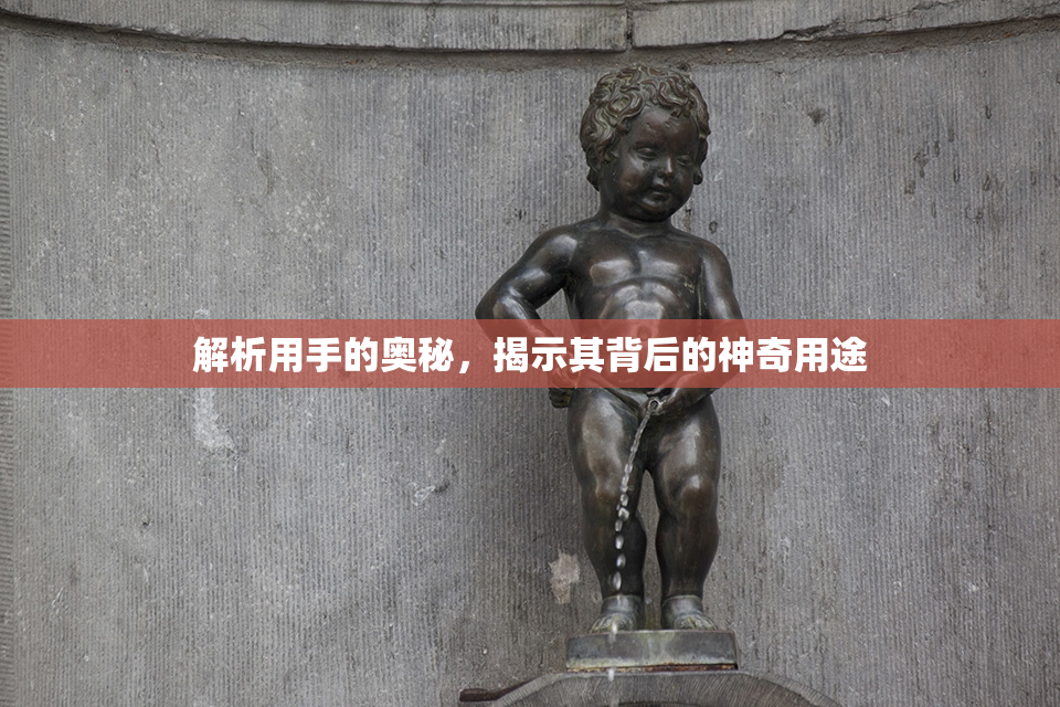 解析用手的奥秘，揭示其背后的神奇用途