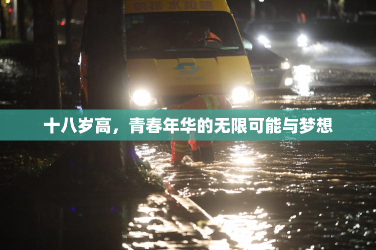 十八岁高，青春年华的无限可能与梦想
