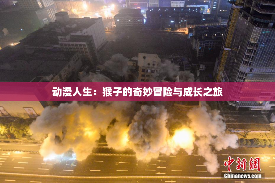 动漫人生：猴子的奇妙冒险与成长之旅
