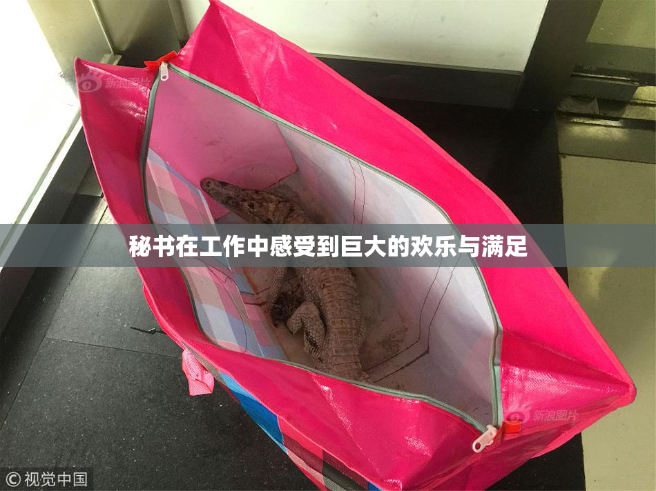 秘书在工作中感受到巨大的欢乐与满足