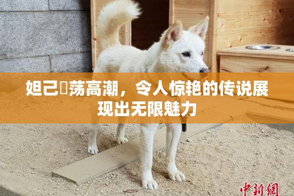 妲己婬荡高潮，令人惊艳的传说展现出无限魅力