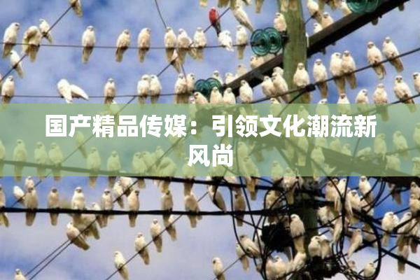 国产精品传媒：引领文化潮流新风尚