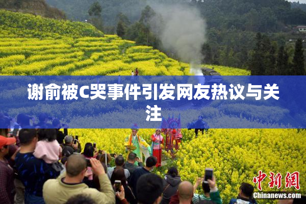 谢俞被C哭事件引发网友热议与关注
